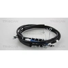Image de Handremkabel 8140161160 Triscan