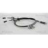 Image de Handremkabel 814050183 Triscan
