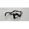 Image de Wielsnelheidssensor 818013209 Triscan