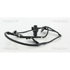 Image de Wielsnelheidssensor 818013604 Triscan