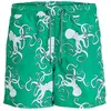 Image de Jack & Jones Short De Bain Fiji Aop