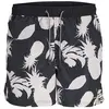 Image de Jack & Jones Short De Bain Fiji Plain Wb