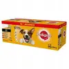 Image de Pedigree Nourriture Humide Pour Chiens Avec Sauce Au Boeuf Pour Une Protection Vitale 100g 40 Unités