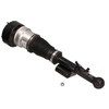 Image de Pneumatische veerpoot 110581 Maxgear