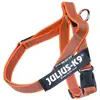 Image de Julius K-9 Harnais Pour Chien Idc Mini Norwegian