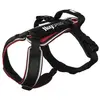 Image de Julius K-9 Harnais Pour Chien Speed