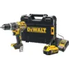 Image de DeWalt DCD796NT-XJ Batterie 5,0 Ah Kit de Démarrage