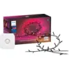 Image de Philips Hue Festavia Guirlande Lumineuse - 20 Mètres + Détecteur de Mouvement