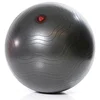 Image de Gymstick Fitball Exercise 75 cm