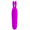 Image de Sextoy vibrant Boyce - 12.5 x 2.4 cm