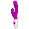 Image de Vibromasseur rabbit Andre violet