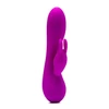 Image de Rabbit Stanley violet