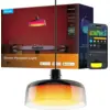 Image de Govee Pendant Light H60C13F1