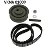 Image de Distributieriemset VKMA01009 SKF