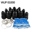 Image de Asmanchet VKJP01000 SKF