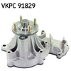 Image de Waterpomp VKPC91829 SKF
