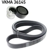 Image de Poly V-riem set VKMA36145 SKF