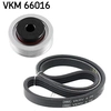 Image de Poly V-riem set VKMA66016 SKF