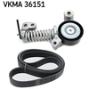 Image de Poly V-riem set VKMA36151 SKF