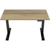 Image de Euroseats Bureau Assis-Debout Électrique 160 x 80 Noir/Chêne