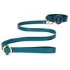 Image de Collier-Laisse Halo Col Bleu