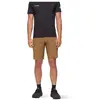 Image de Mammut Short Aenergy Light Softshell