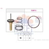 Image de Thermostaat koelvloeistof 78798 Facet