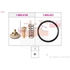 Image de Thermostaat koelvloeistof 1880616 EPS Facet