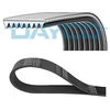 Image de Multiriem 8PK2630HD DAYCO