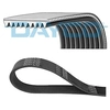 Image de Multiriem 9PK2313HD DAYCO