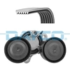 Image de Multiriem set KPV294 DAYCO
