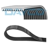Image de Multiriem 12PK1814HD DAYCO