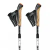 Image de Gabel Bâtons Nordic Revo A1