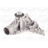 Image de Waterpomp PA1098 Graf