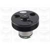 Image de Waterpomp PA1220 Graf