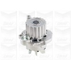 Image de Waterpomp PA806 Graf