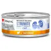 Image de Disugual Aliment Humide Pour Chat Diet Struvite Dinde 12x85g