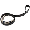 Image de Equestro Laisse Pour Chien Polo H
