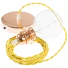 Image de Creative Cables Lampe Suspendue Pendel Pour Abat-jour Tm10 Diy 2 M