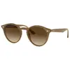 Image de Ocean Sunglasses Lunettes De Soleil Polarisées Queens