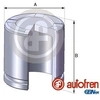 Image de Zuiger remklauw D02550 Autofren