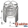 Image de Zuiger remklauw D025120 Autofren
