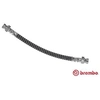 Image de Remslang T30065 Brembo