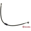 Image de Remslang T85112 Brembo