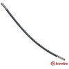 Image de Remslang T85130 Brembo