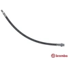 Image de Remslang T06047 Brembo
