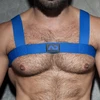 Image de Harnais Élastique AD FETISH Basic Bleu bleu XL/XXL