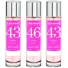 Image de Caravan Parfum Nº43/nº46 150ml 3 Unités