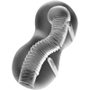 Image de Masturbateur souple Tensek N°3 - 15cm
