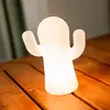 Image de New Garden Lampe De Bureau 11 Lumens 2700k 16.5 X 20.5 Cm